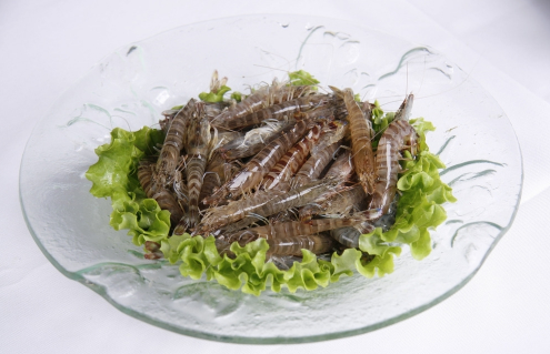 竹节虾和基围虾哪个贵 两者有什么区别