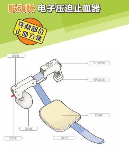 右股动脉电子止血压迫器