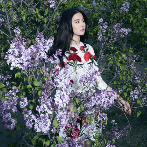 这样花团锦簇的大片造型,两人也有同款.