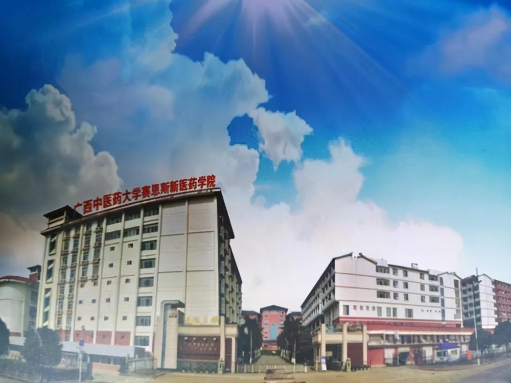 原创广西中医药大学原副校长被双开惹争议最大的不是房产而是学历