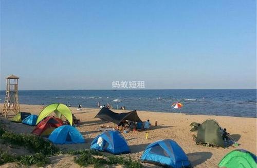 昌黎福来岛木屋家庭间