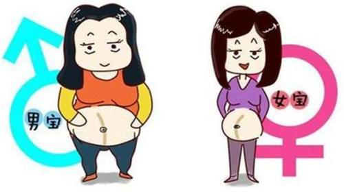 妊娠线能看男女吗?