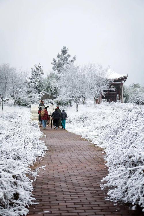 青年看热点 | 毕节雪景有多美!看看他拍的这组图