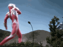 麦克斯·奥特曼