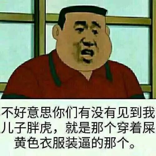不好意思你们有没有见到我儿子胖虎,就是那个穿着屎黄色衣服装逼的