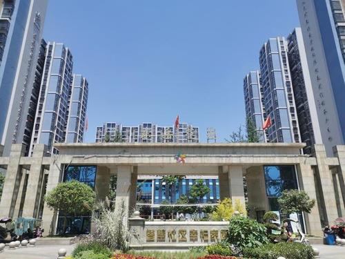 成都市先进基层党组织,大邑县沙渠街道东岳社区党总支