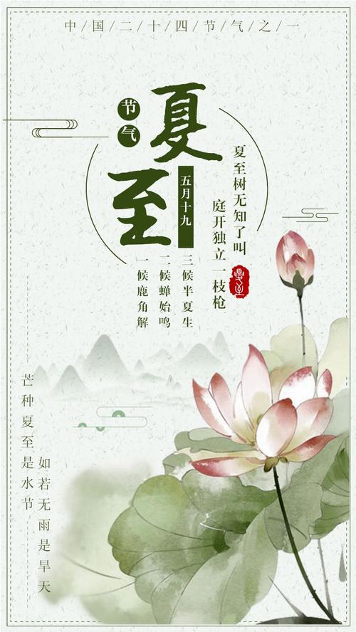 二十四节气夏至中国风荷花手机海报