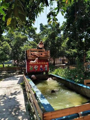 一张票让我们逛动物园 小型游乐场 户外聚餐 最重要,除此外还有!