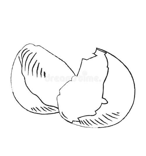 碎蛋壳简笔画