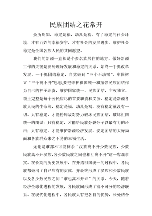 民族团结发言稿001doc6页