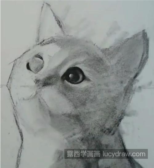 小猫的素描画法是什么?