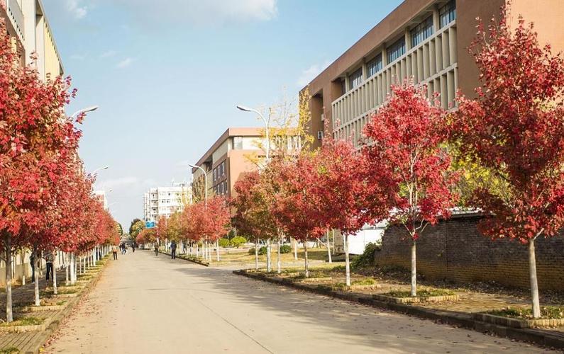 文华学院面积多少