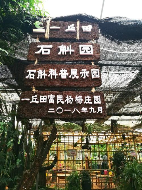 国庆玩趣一走进农家乐一丘田