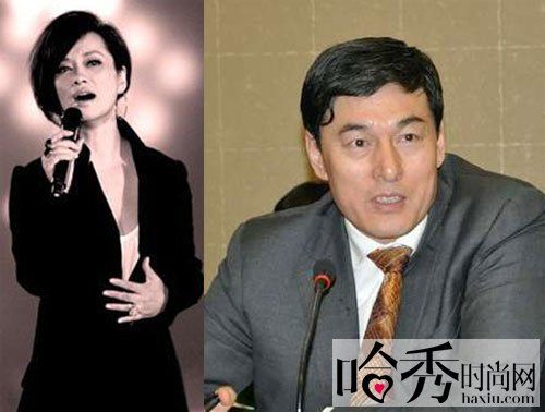 毛阿敏老公解直锟个人资料背景 解直锟第一任妻子是谁
