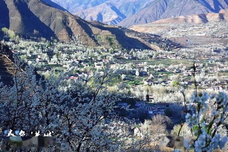 云上花开5日毕棚沟金川梨花甲居藏寨达瓦更扎神木垒