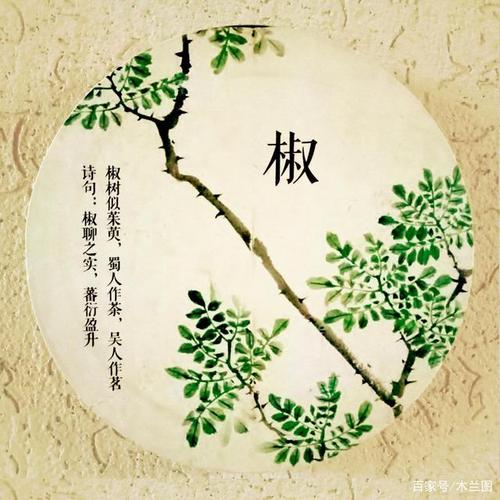 诗经中的花草 - 那些美丽的植物