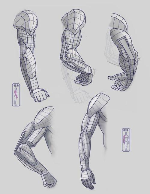 手臂肌肉到底怎么画?漫画手笔的画法!