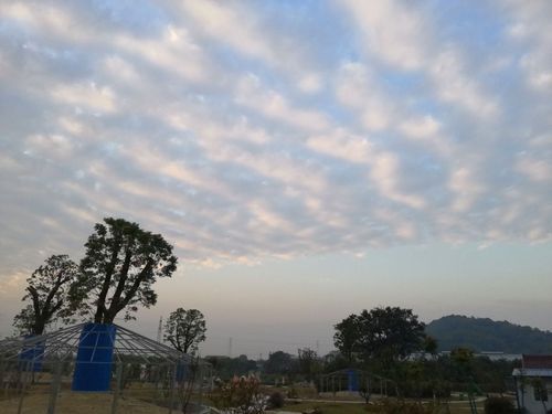 地址(位置,怎么去,怎么走):  江苏省常州市溧阳市南渡镇石街村