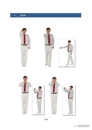 wt跆拳道竞技裁判手势图集,请收藏好这份干货!