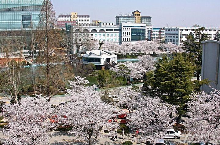 圆光大学的中央图书馆