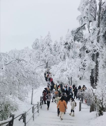 峨眉山天气不好,但雪景很美,多穿点衣服地面结冰很滑,提前准备好防滑