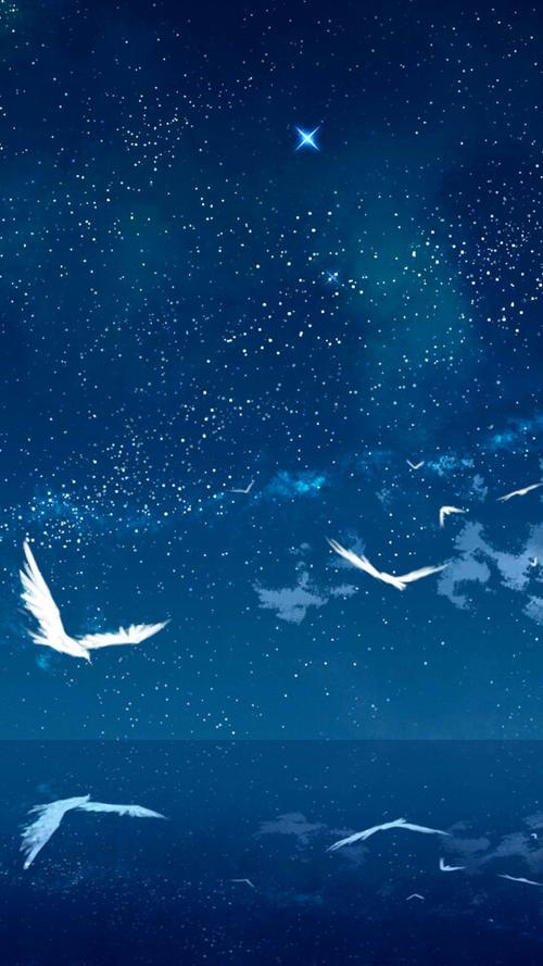 壁纸.动漫.星空.小鸟