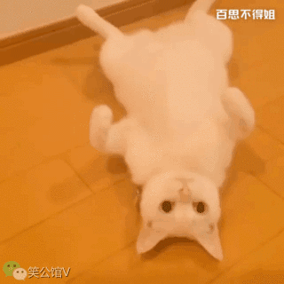 在床上等你的女朋友