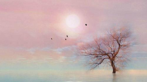 老年人简单微信昵称