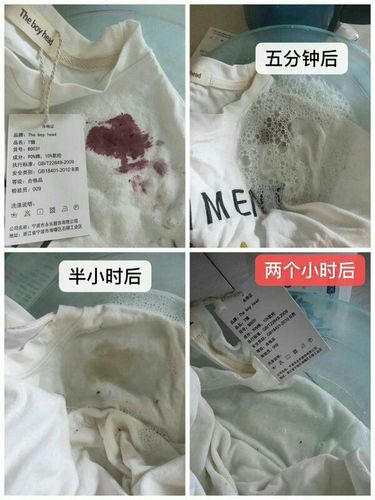 用衣物净清洗桑葚汁污渍