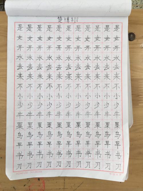 寒假语文练字优秀作业展示