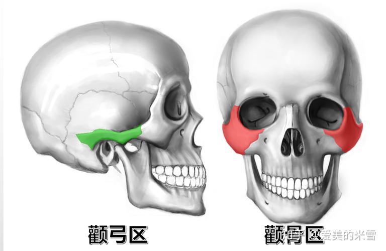 磨颧骨到底会不会下垂呀