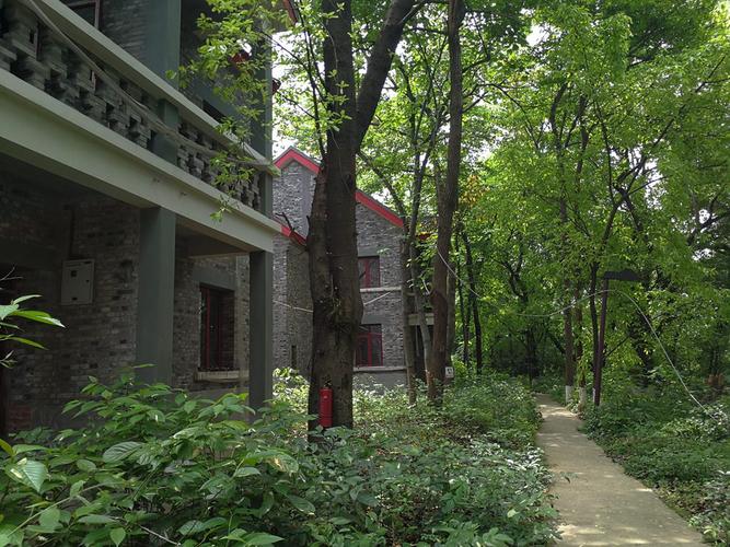 标题:重大松林坡--寻找老重庆