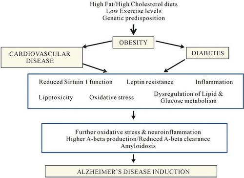 sirtuin-1 mediates the obesity induced risk of common