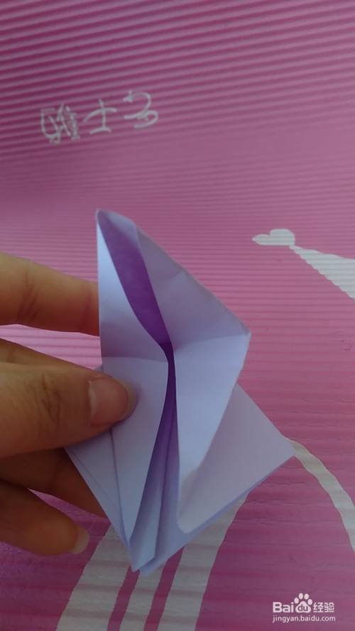 折百合花的视频