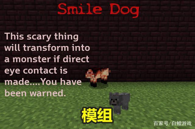 我的世界:"smile dog",一只微笑的狗子,没几个玩家