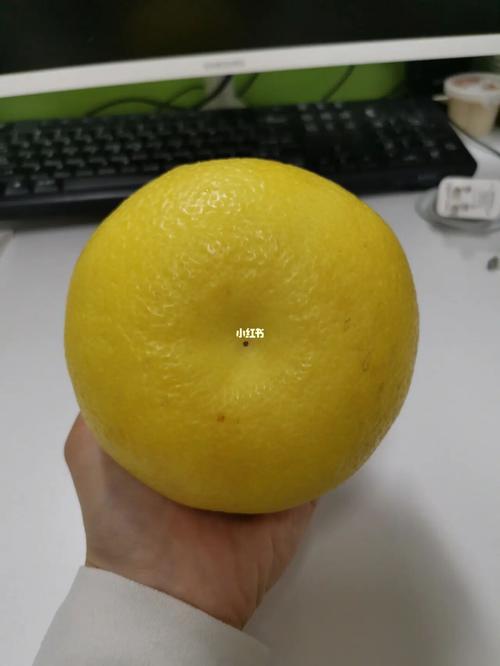 黄金葡萄柚_葡萄柚_黄金_黄金葡萄柚_美食_美食测评