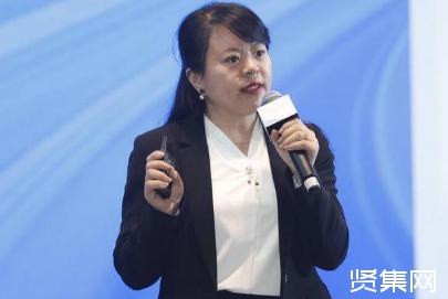 王淑娟:平价上网实现路径展望