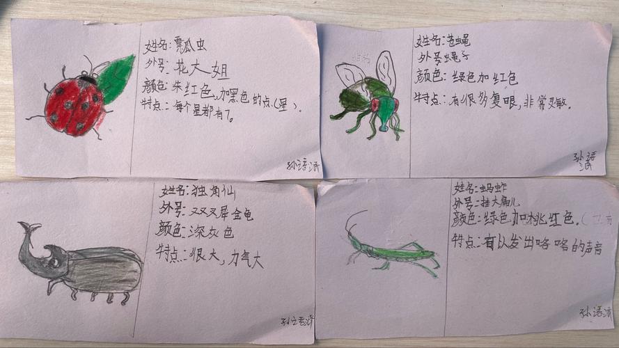 昆虫备忘录～302班