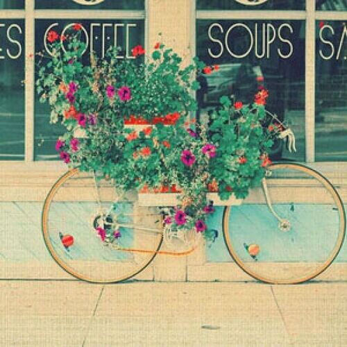 森系 小清新 风景 怀旧 摄影 头像 by夏苏杳 抱图点赞