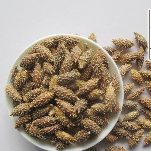 中药材苍耳子图片_中药材苍耳子大全/细节图 - 搜好货