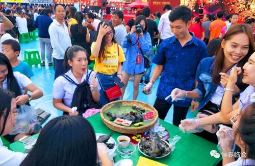 饕餮盛宴2018年国庆临沧佤山风情大观园美食周盛大开幕
