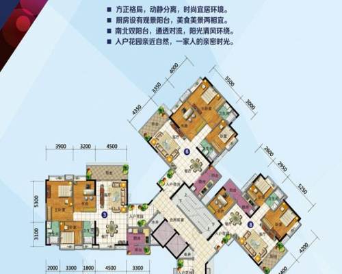 新时代嘉园 户型靓望花园 楼距宽 低过市场价 有匙即