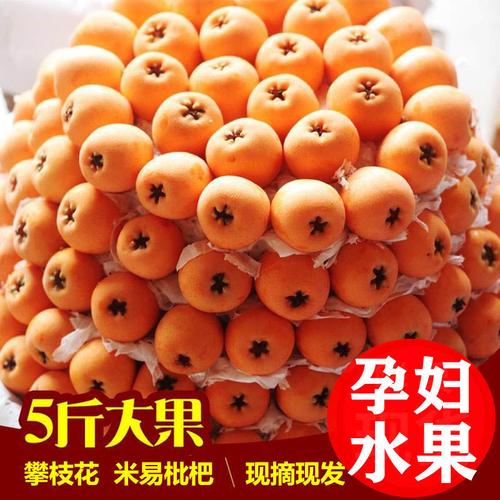特级攀枝花米易大枇杷新鲜水果当季早钟甜琵琶果顺丰包邮5斤大果