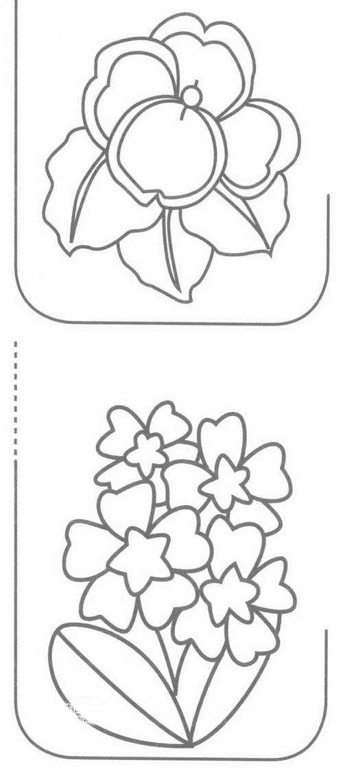 报春花简笔画图片大全 报春花简笔画步骤图解教程