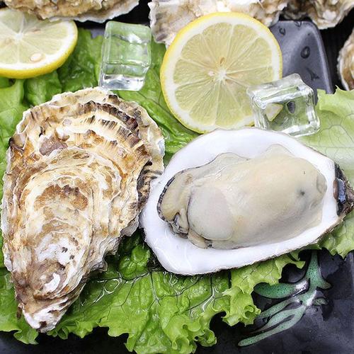 星渔鲜活到家山东乳山生蚝新鲜带壳牡蛎海鲜蒜蓉烧烤用海蛎子5斤