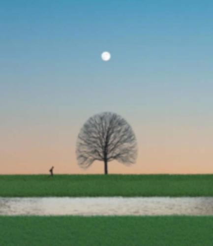 明天,将又是美好的一天小可爱们!