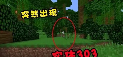 我的世界:还是凌晨3点 同一张地图 我遇见了实体303