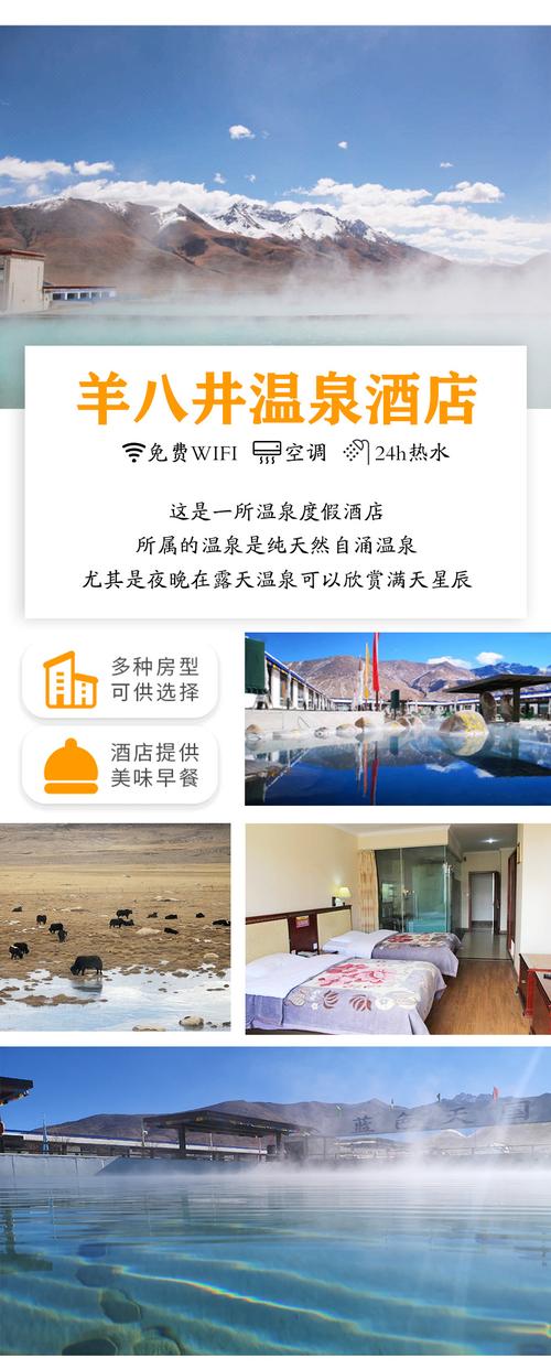 羊八井 纳木错8日游(第一晚入住含氧房/精选挂牌四星酒店/圣地温泉