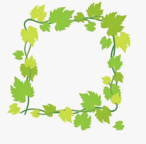 绿叶,花圈,小清新风格,绿色藤蔓,植物,绿色花卉,小清新风格边框