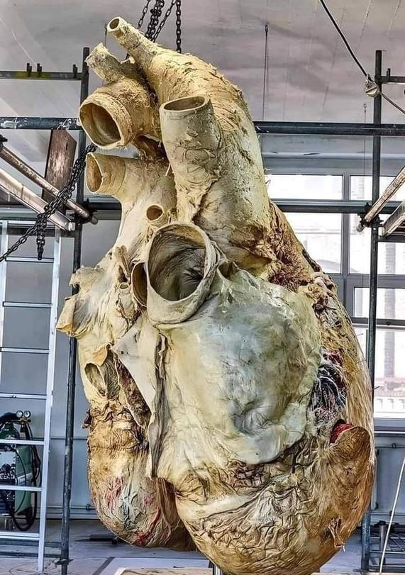 21张罕见图片,美军缴获伊拉克的"大规模"杀伤性武器,太可笑了